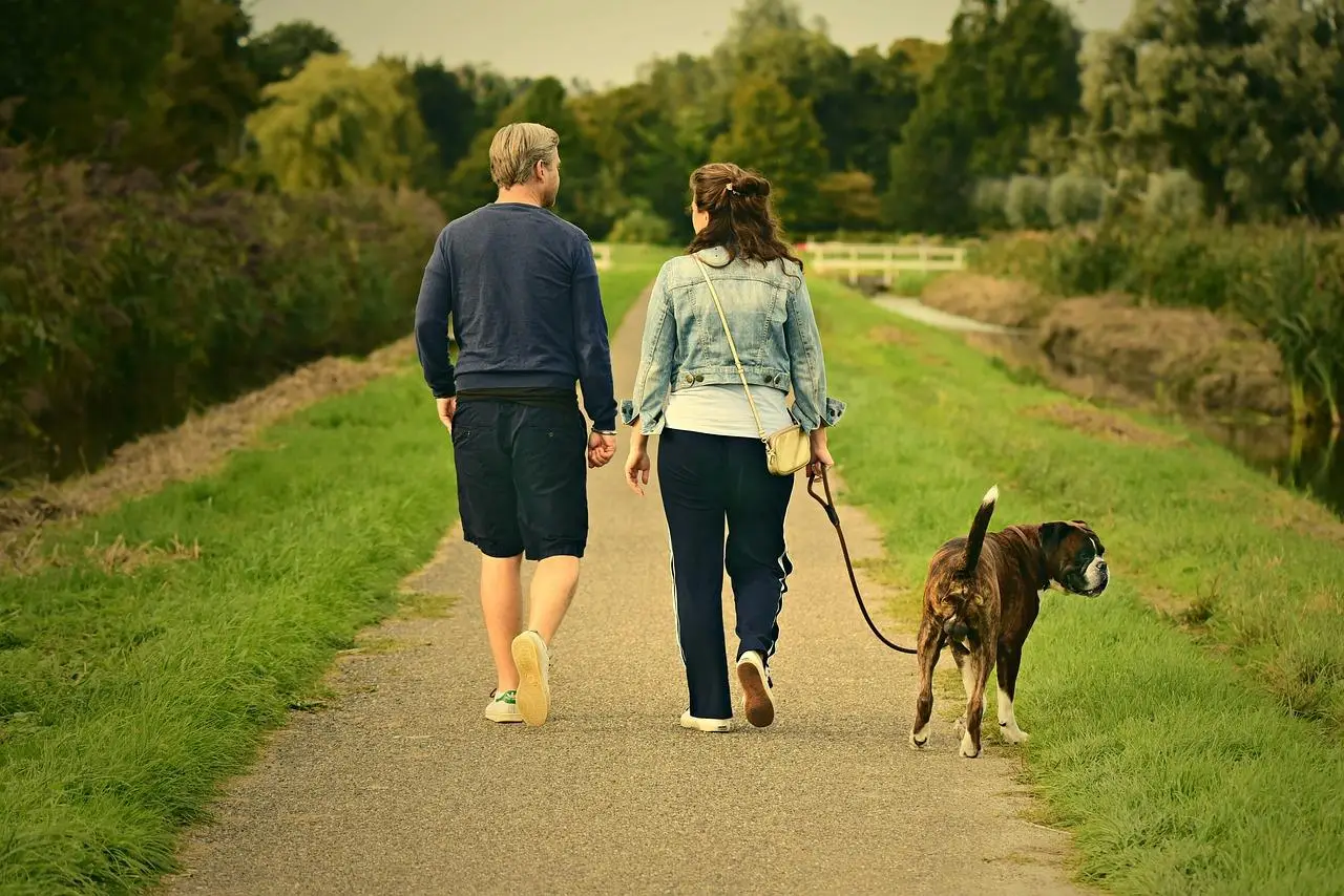 Wandelroutes in Utrecht